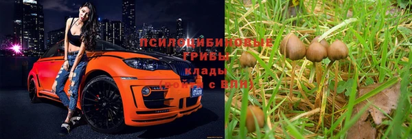 марихуана Новодвинск