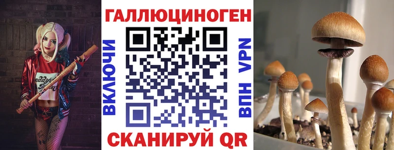 Галлюциногенные грибы ЛСД Новое Девяткино